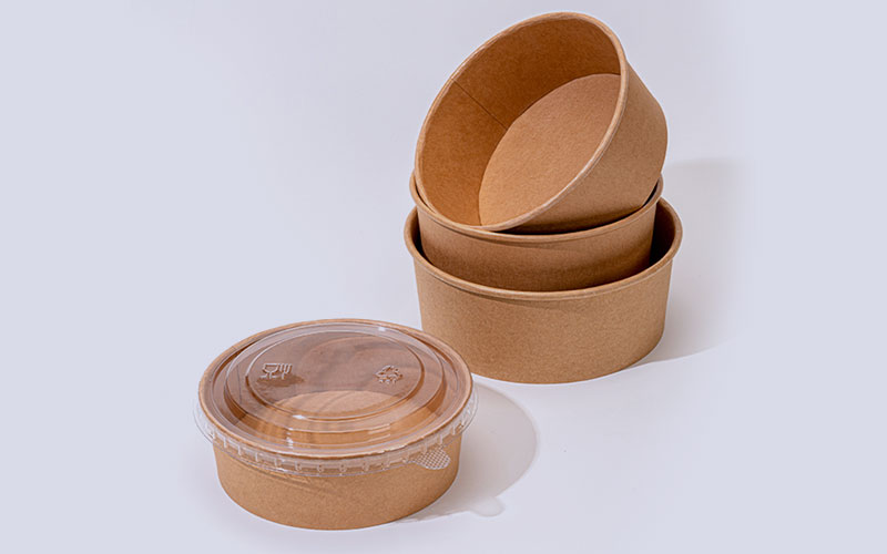 Paper Bowl
