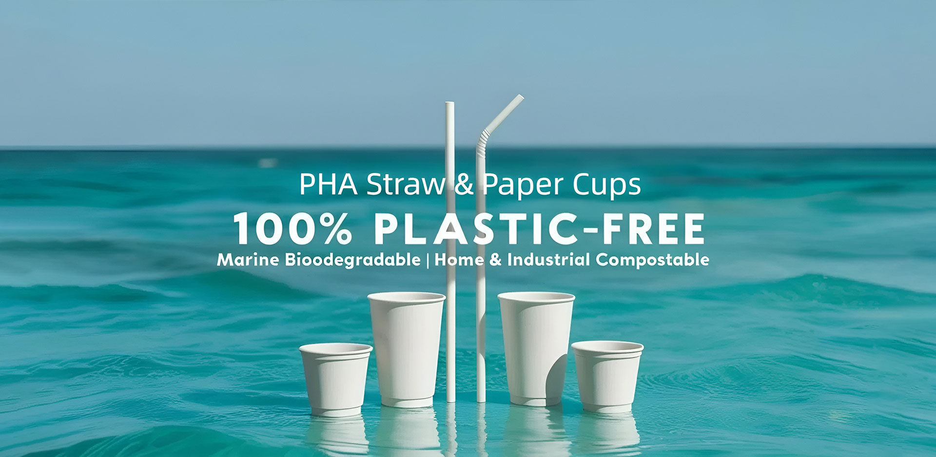 China Paper Cup Supplier