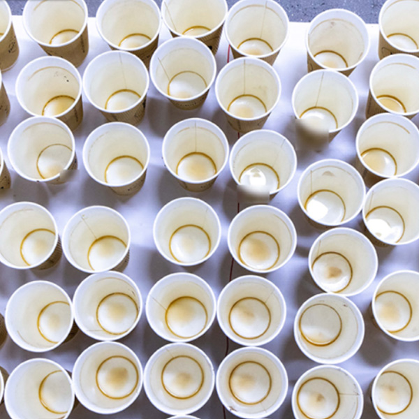 Global plastic reduction offers practical solutions