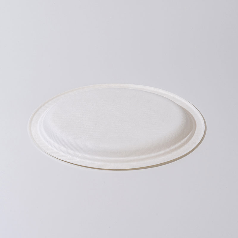 How Many Days Does a Sugarcane Pulp Oval Plate Take to Decompose?