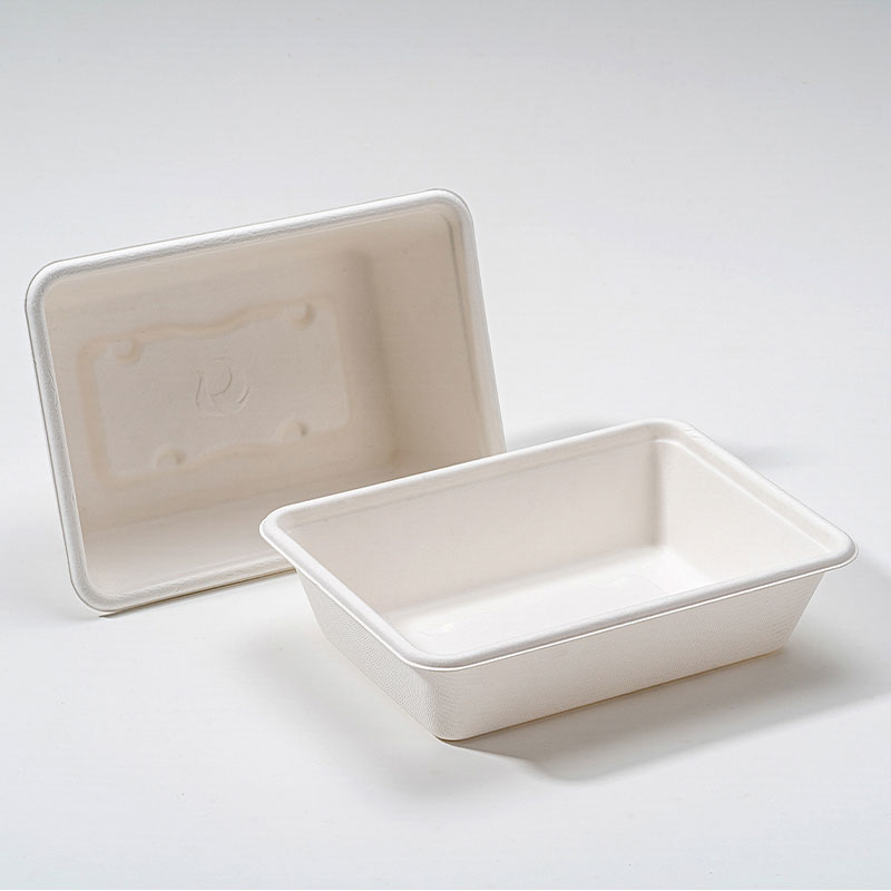 Why Bagasse Square Box Is the Future of Sustainable Food Packaging?