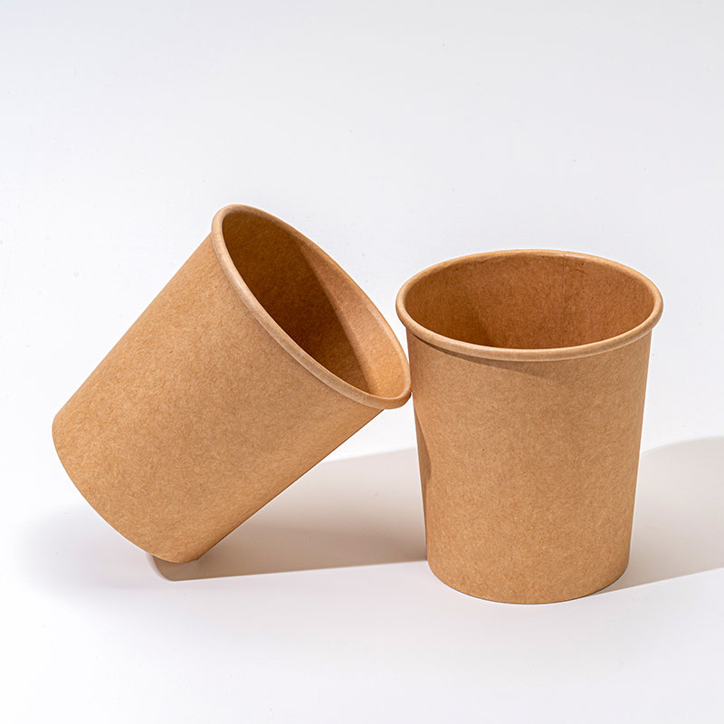What Advantages Can Food-Grade Paper Bowl Bring To Global Catering and Takeout Operators?