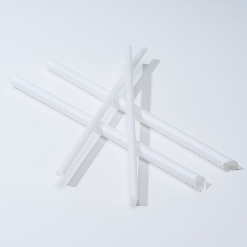 Straws and the Tide of Change: Biodegradable Solutions for a Cleaner Future
