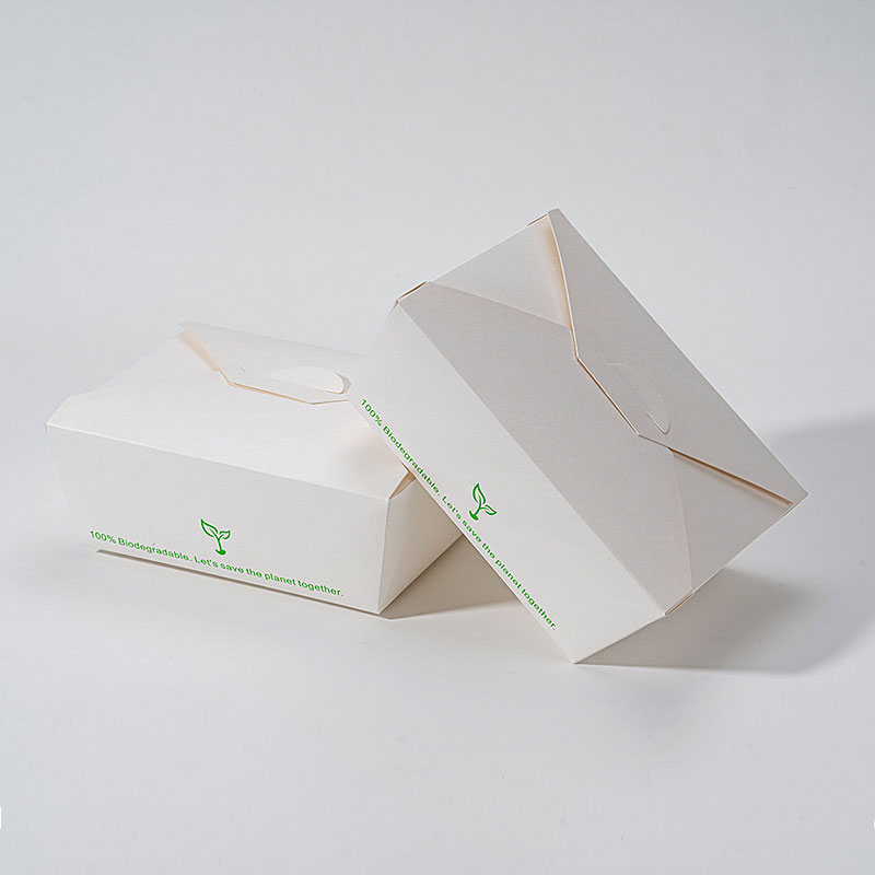 Biodegradable Paper Lunch Container for Office Takeout