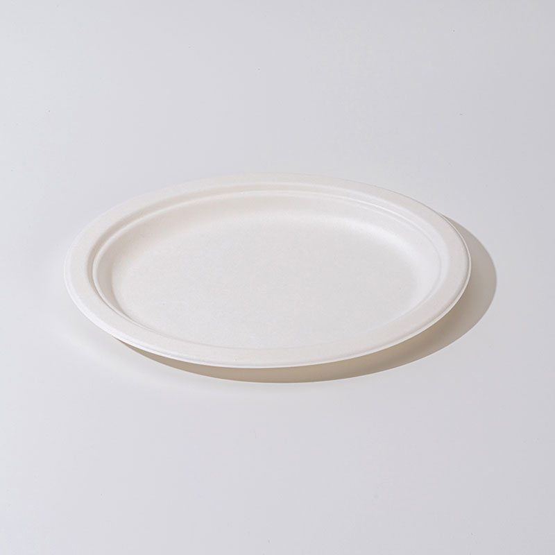 Sugarcane Pulp Oval Plate