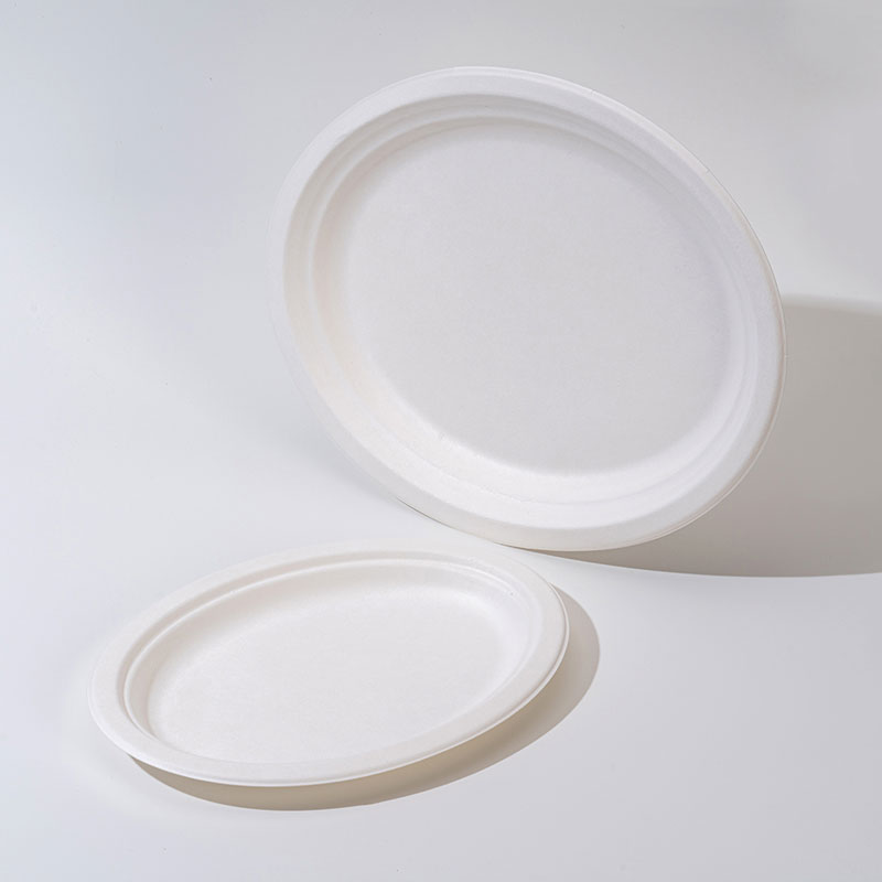 Sugarcane Pulp Oval Plate