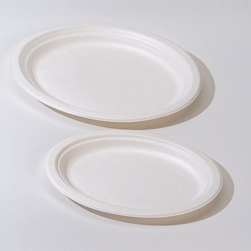 Sugarcane Pulp Oval Plate